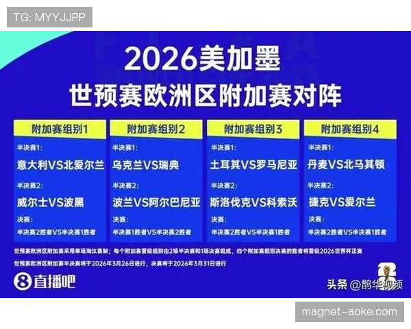 2026世界杯开幕战赛后离场攻略